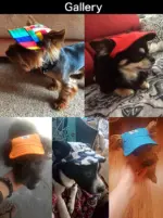 犬の服 被り物 犬 かぶりもの 帽子 - Image 2