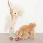 さくらんぼロープぬいぐるみ - Image 5