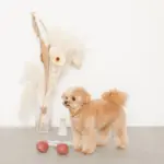 さくらんぼロープぬいぐるみ - Image 8