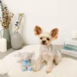 ぞうさんギンガムチェックリボンぬいぐるみ - Image 6