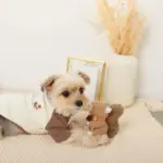 リスさんギンガムチェックリボンぬいぐるみ - Image 8