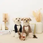 リスさんギンガムチェックリボンぬいぐるみ - Image 10