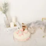 いちごのホールケーキノーズワークおもちゃ - Image 4