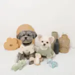 恐竜の仲間達おもちゃSET - Image 3