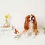 チョコレートホイップドリンクおもちゃ - Image 4