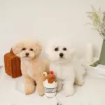 チョコレートホイップドリンクおもちゃ - Image 6