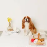 ピクニックセットのおもちゃ - Image 7