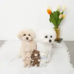 くまさんギンガムチェックリボンぬいぐるみ - Image 3