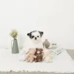 ひつじさんギンガムチェックリボンぬいぐるみ - Image 4