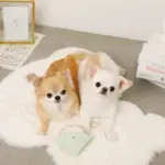 リングドーナツのおもちゃ - Image 5