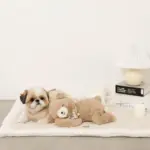 ねんねくまさんぬいぐるみ - Image 4