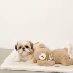 ねんねくまさんぬいぐるみ - Image 5