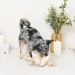 ノーズワークお花型ロープおもちゃ - Image 4