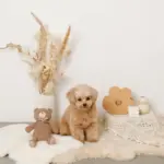 コーデュロイのくまさん - Image 9