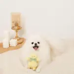 ひよこさんギンガムチェックリボンぬいぐるみ - Image 4