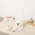 いちごのショートケーキノーズワークおもちゃ - Image 7