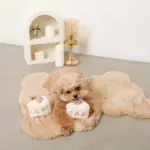 いちごのショートケーキノーズワークおもちゃ - Image 8