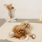 きのことくりのおもちゃSET - Image 5