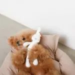 白いうさぎさん - Image 4