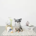 くびながのあひるさん - Image 6