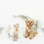 くまさんロープぬいぐるみ - Image 4