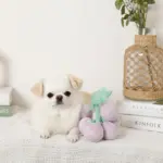 ぶどうノーズワークおもちゃ - Image 2