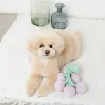 ぶどうノーズワークおもちゃ - Image 6