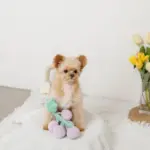 ぶどうノーズワークおもちゃ - Image 7