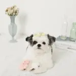 海の仲間たちのおもちゃSET - Image 5