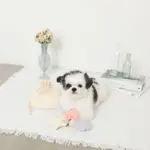 貝殻の仲間たちノーズワークおもちゃ+巾着袋付き - Image 6