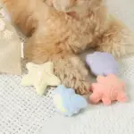 貝殻の仲間たちノーズワークおもちゃ+巾着袋付き - Image 7