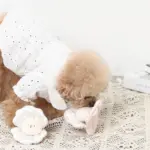 貝殻ノーズワークおもちゃ - Image 6