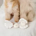 貝殻ノーズワークおもちゃ - Image 7