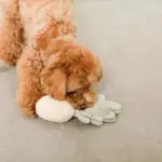 パイナップルノーズワークおもちゃ - Image 6