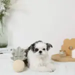 パイナップルノーズワークおもちゃ - Image 8