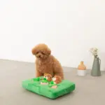 ノーズワークいちごと森の動物のおもちゃ - Image 2