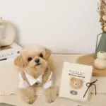 ノーズワークナチュラルブックおもちゃ - Image 10