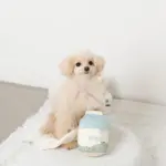 ノーズワークミルクのおもちゃ - Image 2