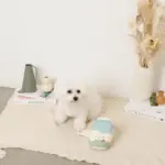 ノーズワークミルクのおもちゃ - Image 5