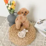 サークルロープうさぎさんぬいぐるみ - Image 5