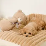 くまさんハンドパペット - Image 3