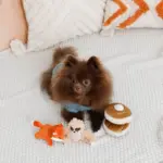 ちいさなナマケモノさん - Image 4