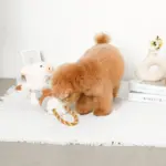 くるくる綱引きブタさん - Image 4