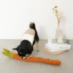 かたつむりノーズワークおもちゃ - Image 6