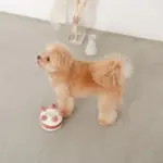 ホールケーキぬいぐるみ - Image 10