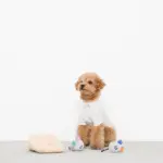 チーズとねずみさん - Image 5