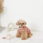 ノーズワークコーヒーカップぬいぐるみ - Image 2