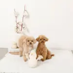 デンタルロープスノーマンぬいぐるみ - Image 5