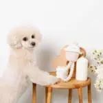 デンタルロープ鳴き笛入りマカロンカップケーキ - Image 3