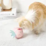 デンタルメッシュノーズワークストロベリー - Image 2